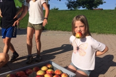 093ca24e-3c37-4504-952e-9323f4670814