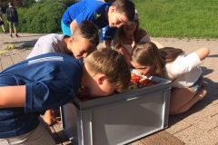 5c855689-c715-4272-a1d2-5f6aeb1d30a9